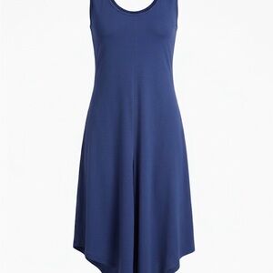 Chic Navy Sleeveless High Low Dress
